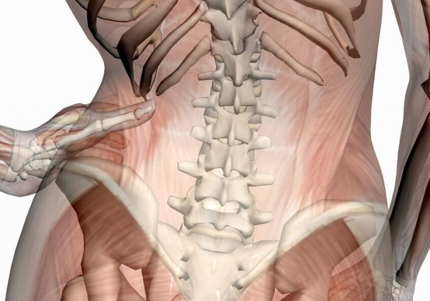 ปวดกระดูกสันหลังส่วนเอว